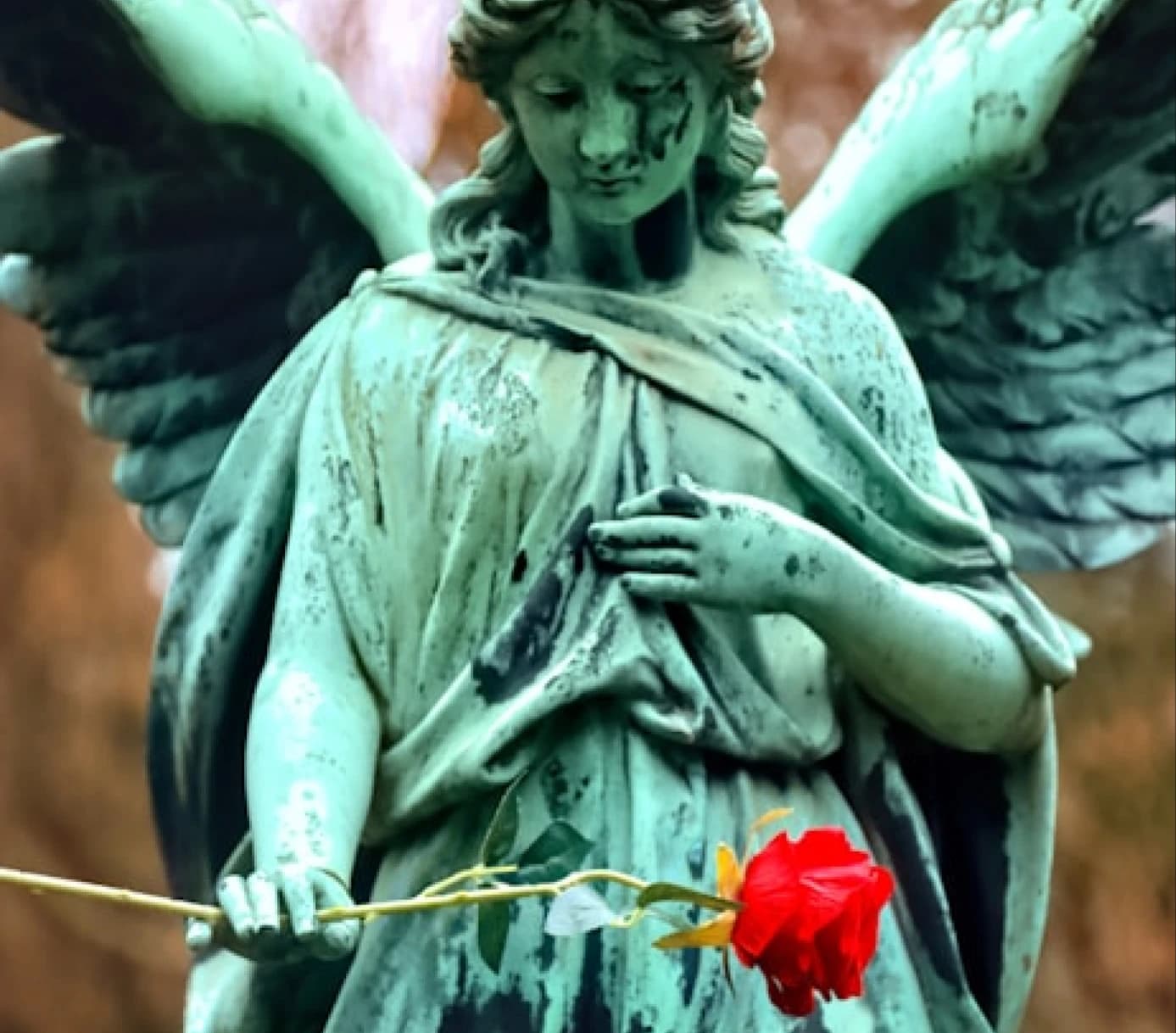 Escultura de anjo com uma rosa vermelha
